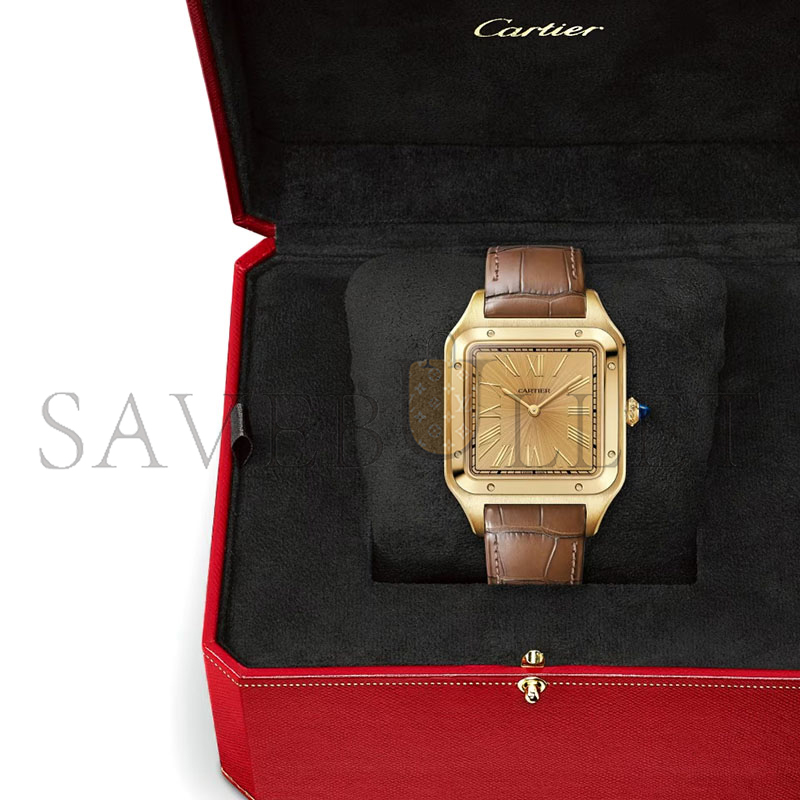 CARTIER SANTOS-DUMONT WATCH EXTRA-LARGE MODEL 44.6MM WGSA0111